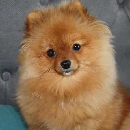 Appartement Habitat Sea View