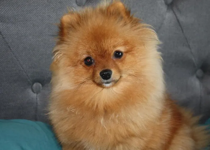 Appartement Habitat Sea View